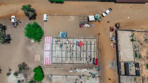 DJI_0499